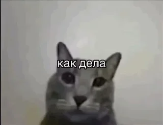 🌟 emoji стикеры меченого Telegram sticker 19 of 120