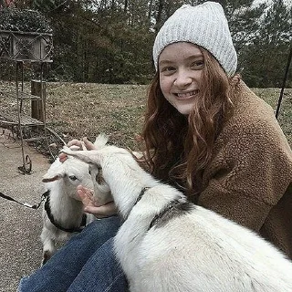 🐐 emoji Sadie Sink Telegram sticker 12 of 15