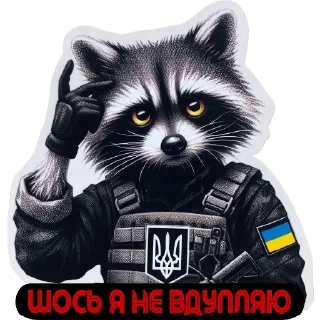 🤔 emoji Raccoon Warrior 🦝🪖@AUDI_32 Telegram sticker 18 of 70