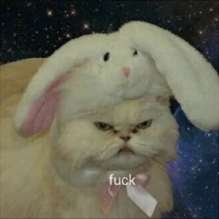 🖕 emoji ▼𝙗𝙮 𝙩𝙤𝙣𝙮𝙨𝙪𝙠𝙖▼ Telegram sticker 17 of 40