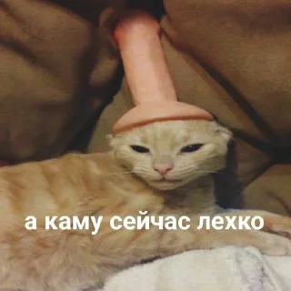 😓 emoji мыло Telegram sticker 20 of 51