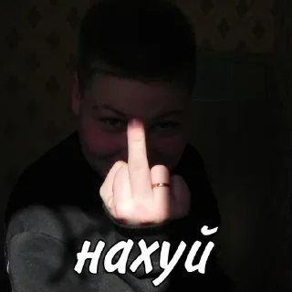 🖕 emoji «Дом2 – остров пива» Telegram sticker 1 of 15
