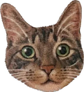 🐈 emoji Friday Telegram sticker 19 of 21