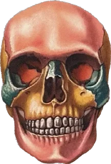 💀 emoji Friday Telegram sticker 8 of 21