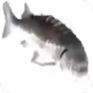 🫥 emoji Улькилоля долбибьеб. Telegram sticker 20 of 21