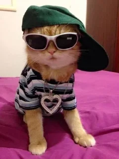 😎 emoji лакастика Telegram sticker 15 of 116