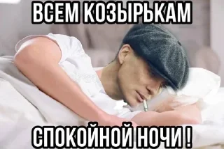😴 emoji 😈фотосинтез😈 Telegram sticker 7 of 51