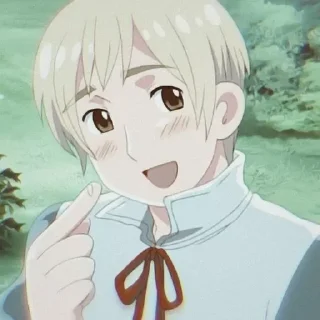 🇫🇮 emoji Хеталия=Финляндия Telegram sticker 24 of 31