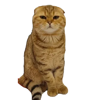 Sticker from Леммик Риони