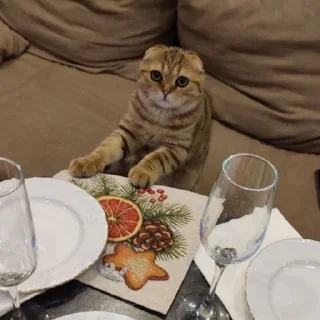 🥂 emoji Леммик Риони Telegram sticker 6 of 38