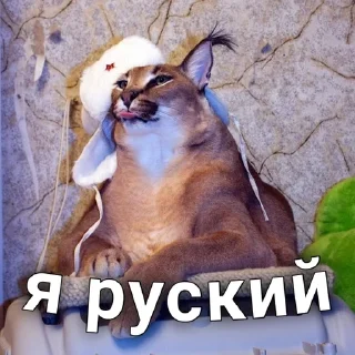 🇷🇺 emoji BigFloppas Telegram sticker 19 of 45