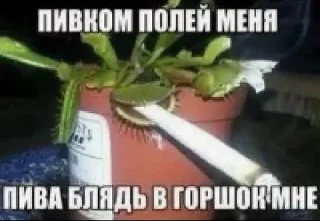 🌟 emoji в моих слезах нейротоксин || Telegram sticker 14 of 76