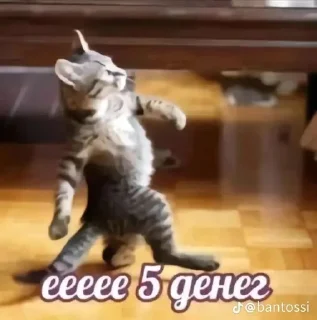 🌟 emoji в моих слезах нейротоксин || Telegram sticker 12 of 76