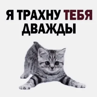 ☺️ emoji кубик. Telegram sticker 20 of 31