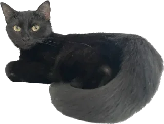 🤤 emoji лютик жопа попа Telegram sticker 9 of 69