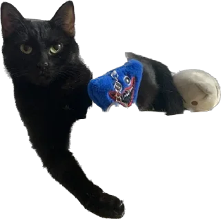 ☠️ emoji лютик жопа попа Telegram sticker 5 of 69