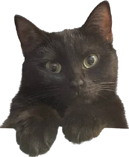☺️ emoji лютик жопа попа Telegram sticker 7 of 69