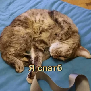 🥱 emoji bozhe Telegram sticker 7 of 14