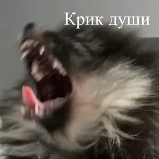 🦔 emoji Ступка Telegram sticker 6 of 20