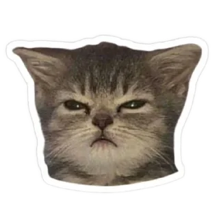 🐱 emoji Любофь Telegram sticker 24 of 37