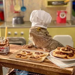 👩‍🍳 emoji bearded dragon Telegram sticker 7 of 35