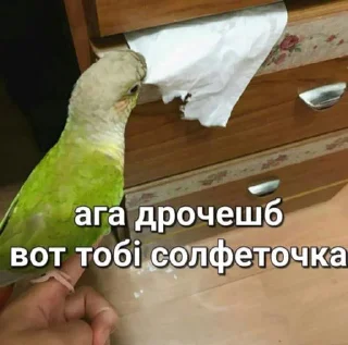 ✊ emoji Кто нахуй Telegram sticker 1 of 37
