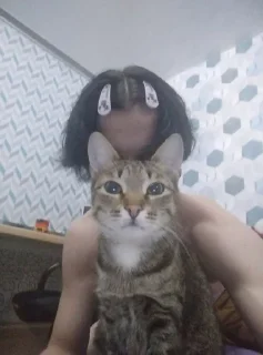 😻 emoji никитосик и команда Telegram sticker 11 of 46