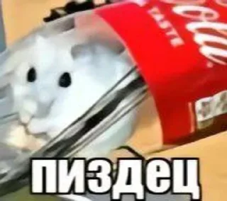 😞 emoji Олд манита Telegram sticker 11 of 120