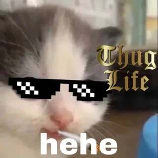 😎 emoji hehe cat Telegram sticker 24 of 50
