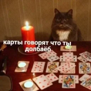 Sticker from важности @library_of_verity