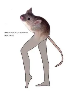 🐹 emoji стикерочки Telegram sticker 8 of 120