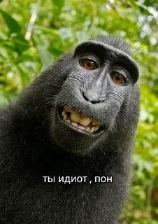 Sticker from анал