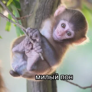 🥰 emoji анал Telegram sticker 6 of 13