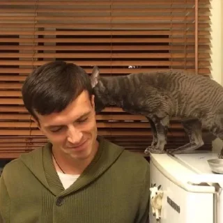 💓 emoji арсюша💋 Telegram sticker 19 of 51