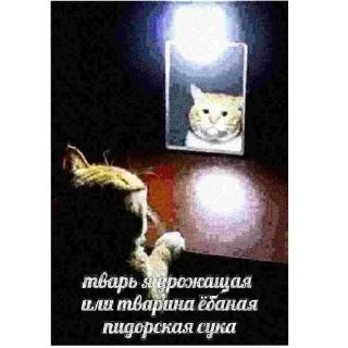 🤔 emoji пакмя Telegram sticker 23 of 44