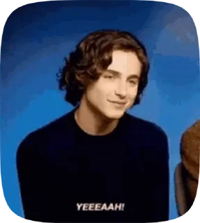 😝 emoji Timothée Chalamet Telegram sticker 14 of 25