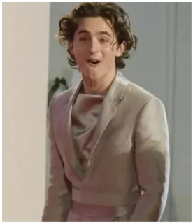 😃 emoji timothée chalamet Telegram sticker 20 of 43