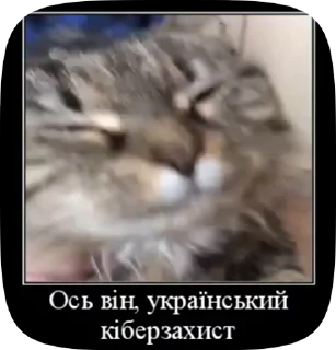 Sticker from ассемблерок))
