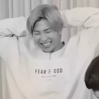 🐨 emoji ‹る namjoon ᨦ🗯 @martinasuuu Telegram sticker 24 of 40