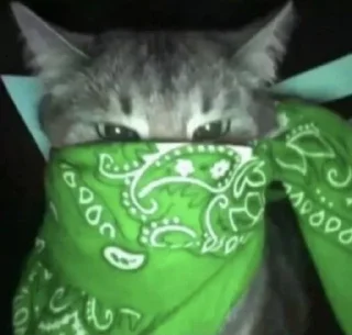 Sticker from котеки бу: @rty3ti