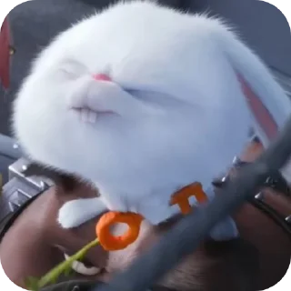 🐱 emoji 🐇🐰 ( @Izuku_Midoriya15_07 ) Telegram sticker 20 of 116