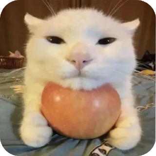 🍎 emoji fav by tima Telegram sticker 8 of 118