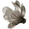 🤍 emoji кофеванильности˚· ♪             SUB — @willowwXD Telegram sticker 21 of 167