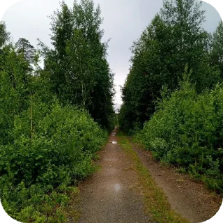 🌌 emoji Красивые виды Telegram sticker 19 of 30