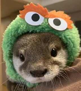 🥺 emoji Otters🦦by @nightlitestick Telegram sticker 24 of 40