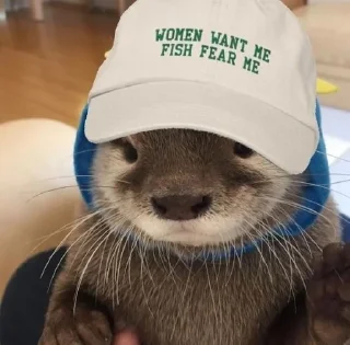 😊 emoji Otters🦦by @nightlitestick Telegram sticker 15 of 40