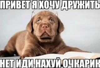 😔 emoji твари 2.0 Telegram sticker 22 of 119