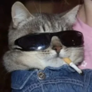 🚬 emoji solyanka Telegram sticker 20 of 117