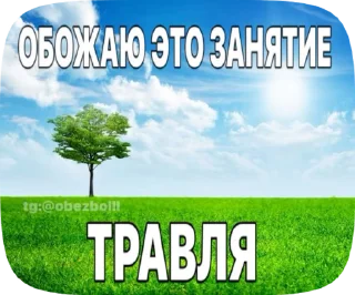 Sticker from КУВКА МАНДАРИНКА