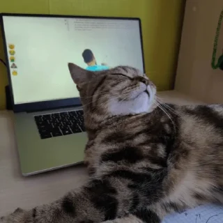 🙄 emoji котики и все остальное Telegram sticker 18 of 30